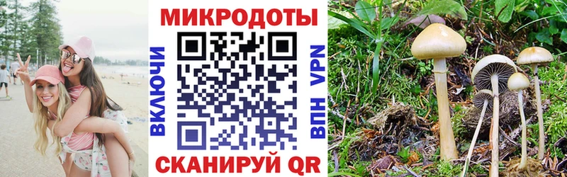 Псилоцибиновые грибы мицелий ОМГ ОМГ сайт Салават